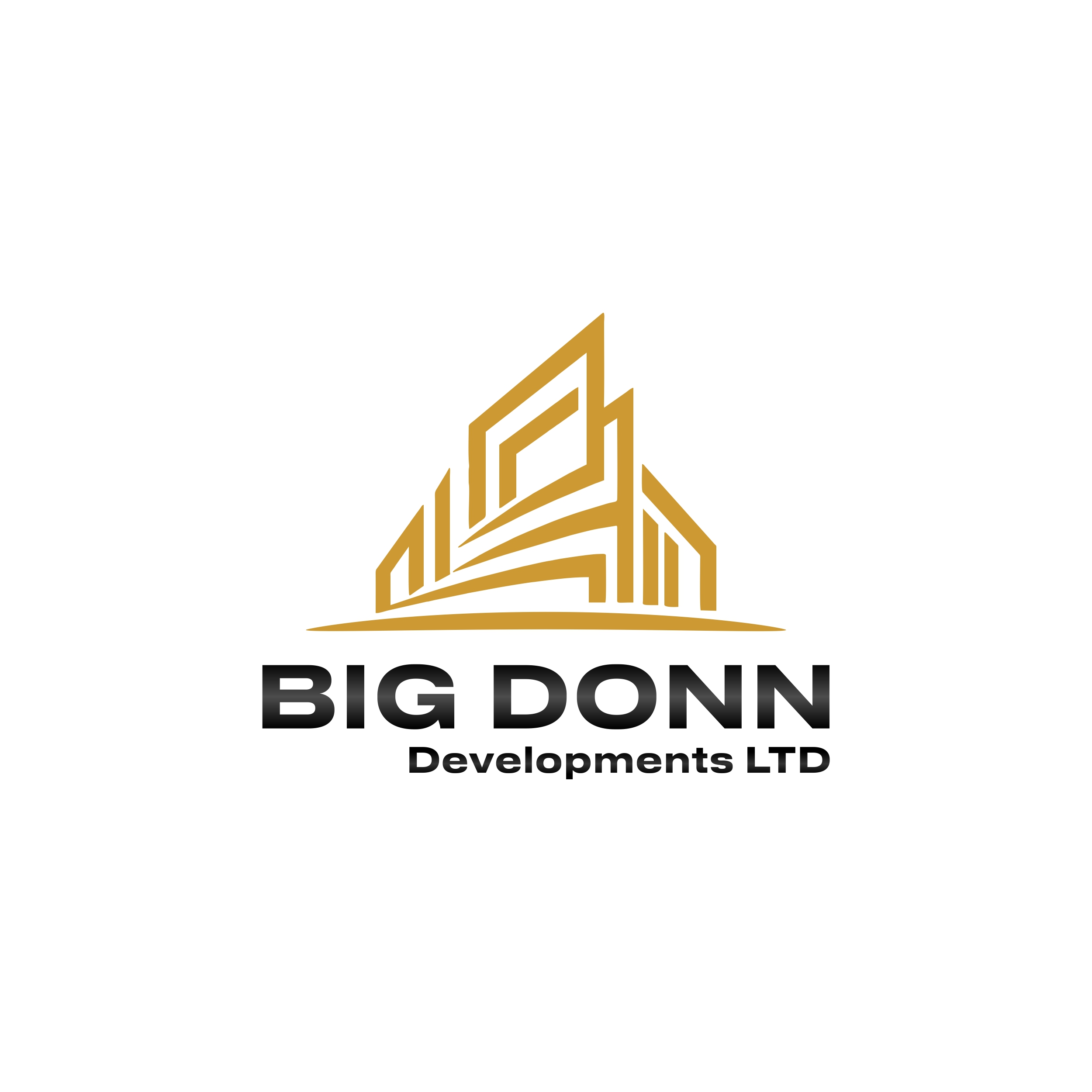 BIG DONN DEVELOPMETS LTD